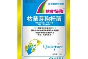 百枯草(百草枯喝了一口会不会死)