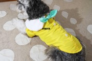 衣服的狗(衣服上有狗狗味道怎么去除)