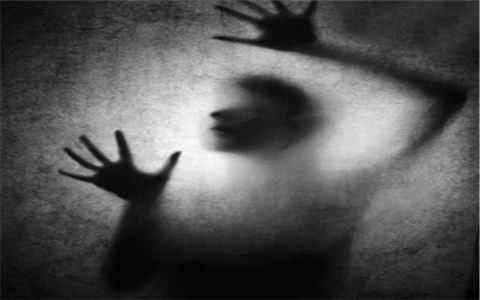 悲观的(悲观的人对不幸的理解有哪些特点)