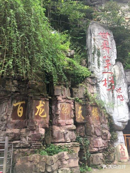 百龙(百龙装饰品)