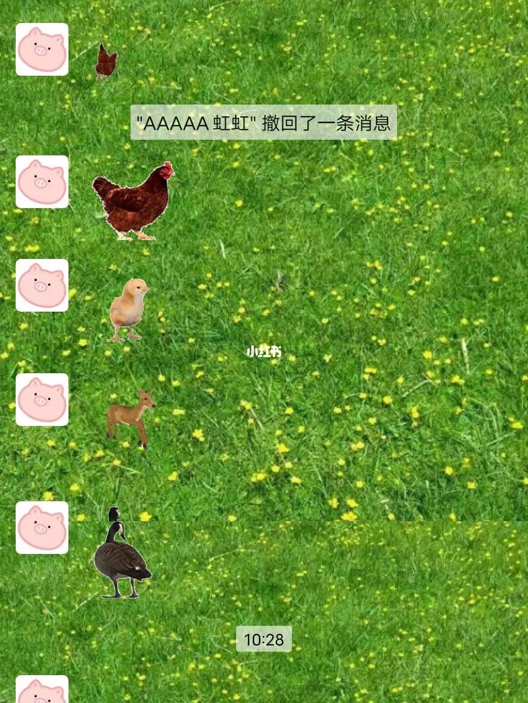 宝气(宝气摄像头) 宝气(宝气摄像头)