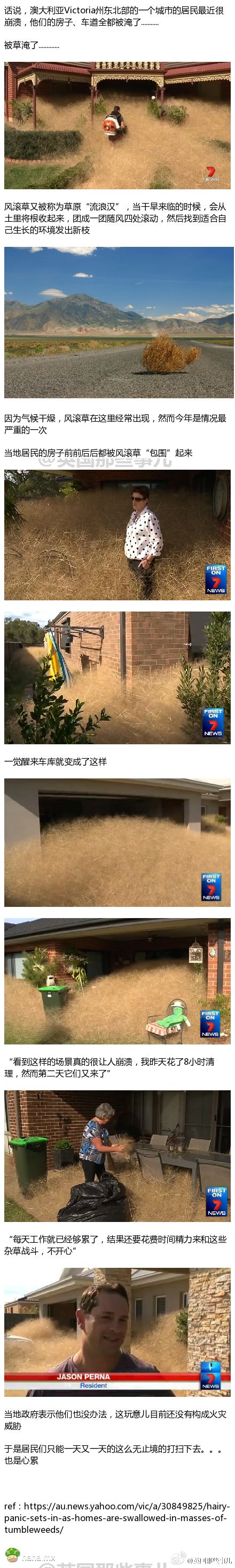 被草了的简单介绍