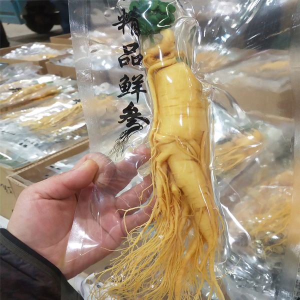 人参交易网(中国人参网·商城) 人参交易网(中国人参网·商城)