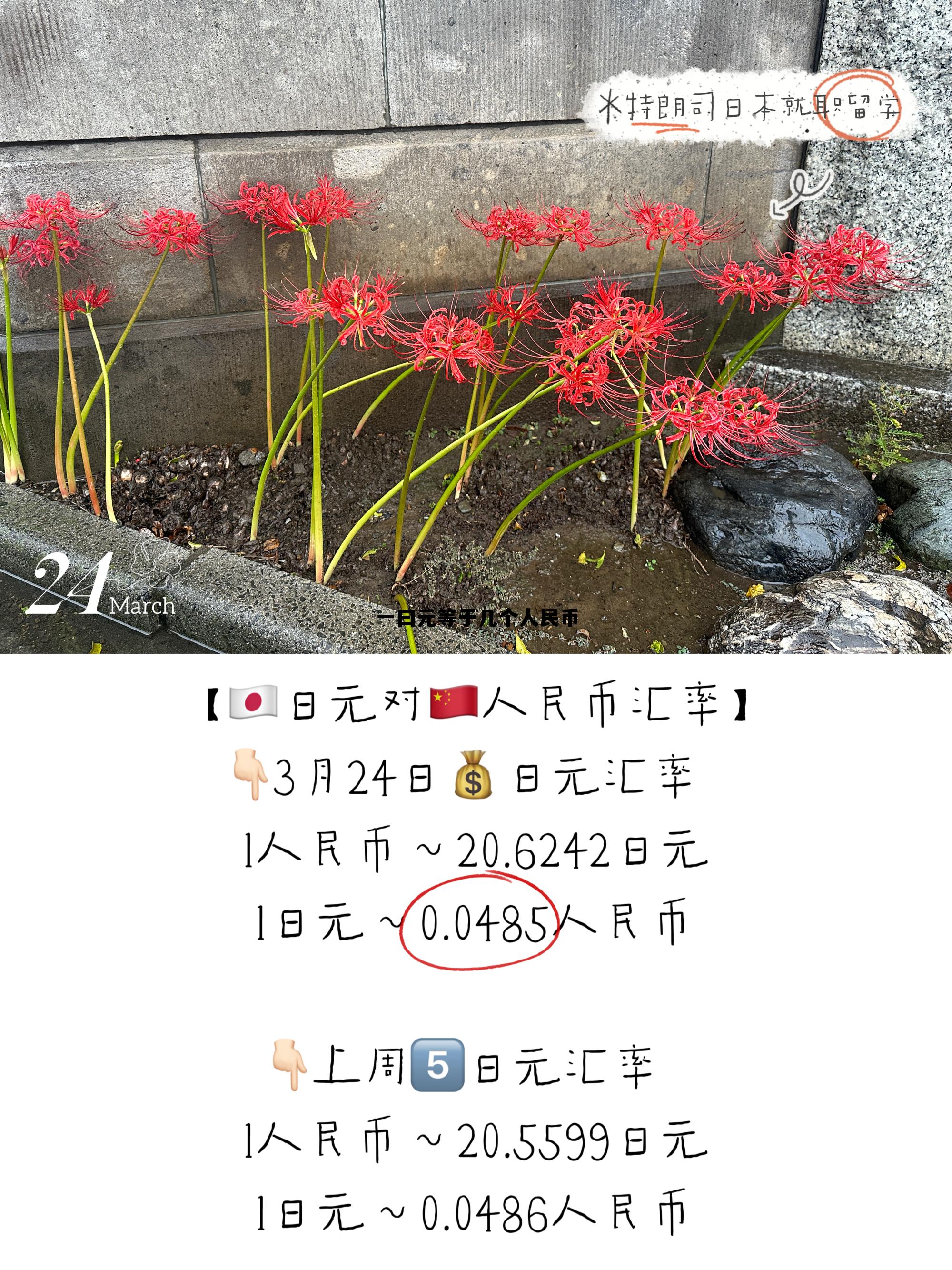 一曰元等于几个人民币(一日元等于多少块钱人民币) 一曰元等于几个人民币(一日元等于多少块钱人民币)