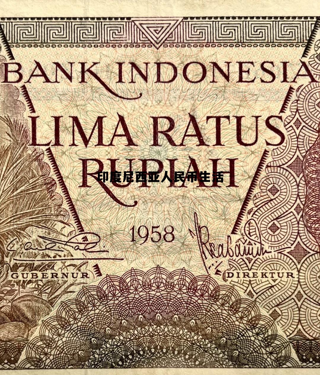 印度尼西亚人民币生活(印度尼西亚人民币兑换中国人民币)