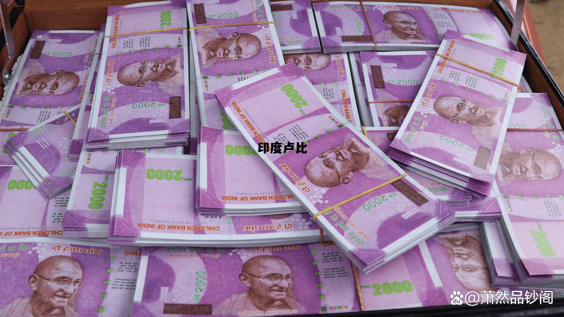 印度卢比(印度卢比美元)