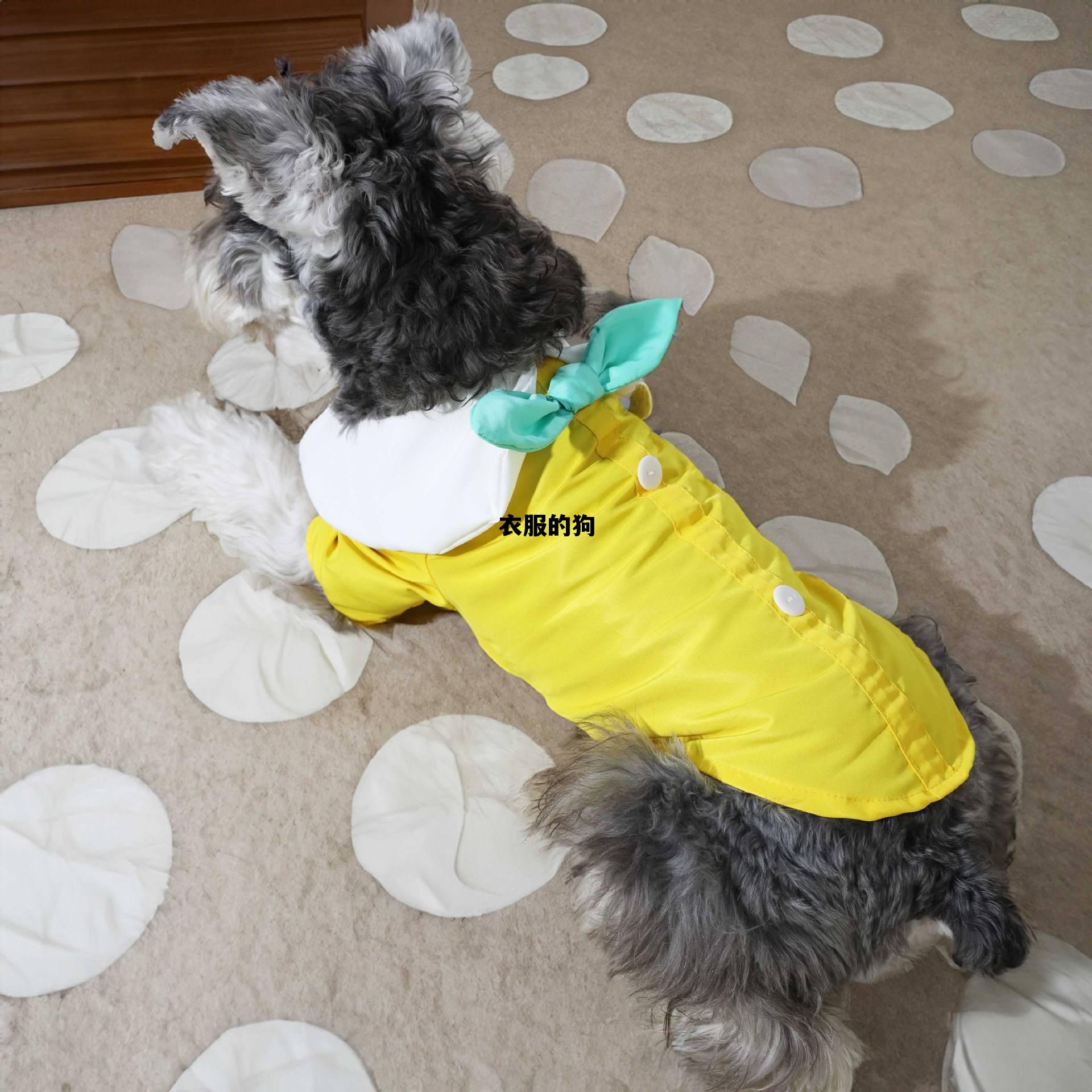 衣服的狗(衣服上有狗狗味道怎么去除)