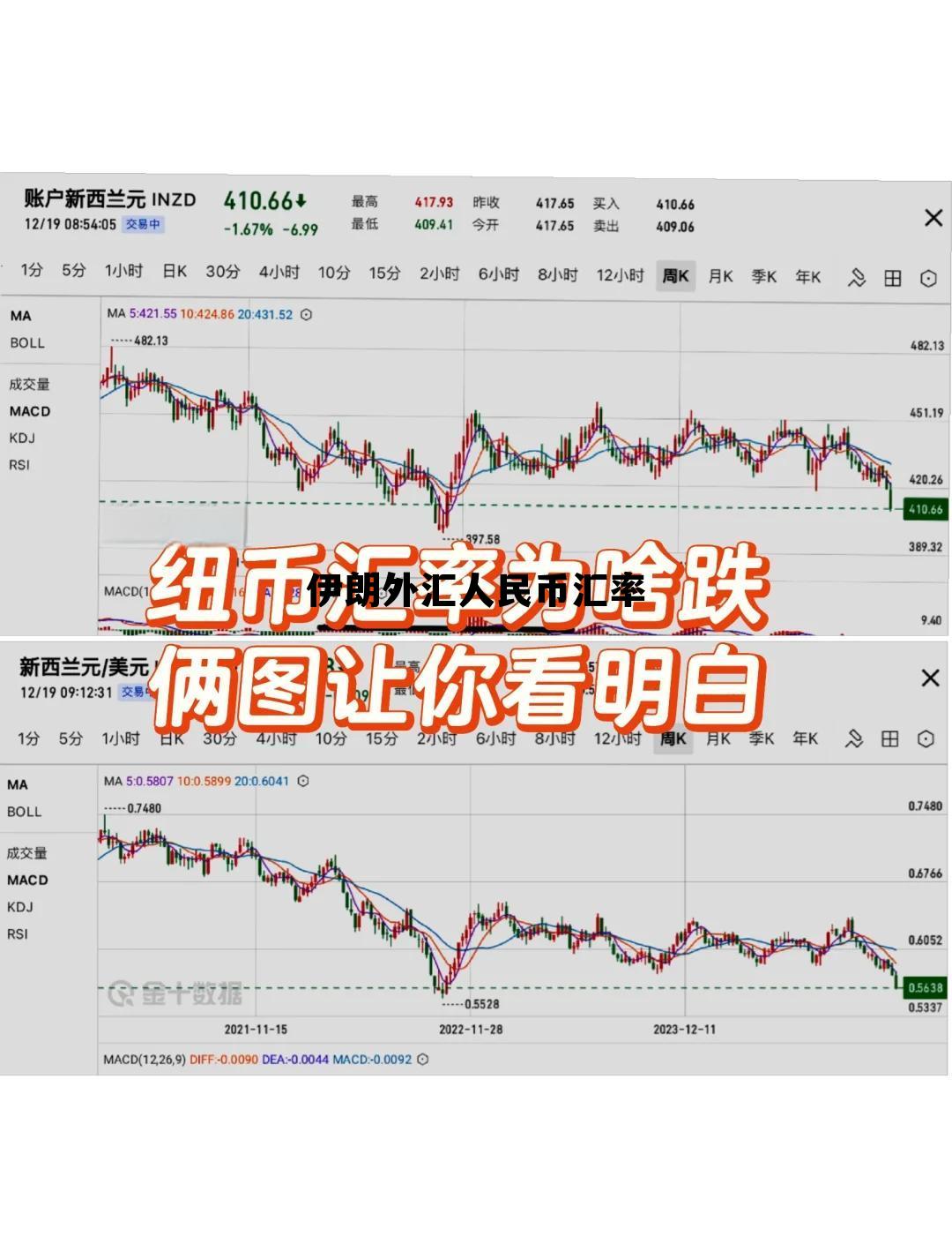 伊朗外汇人民币汇率(伊朗外汇人民币汇率多少)