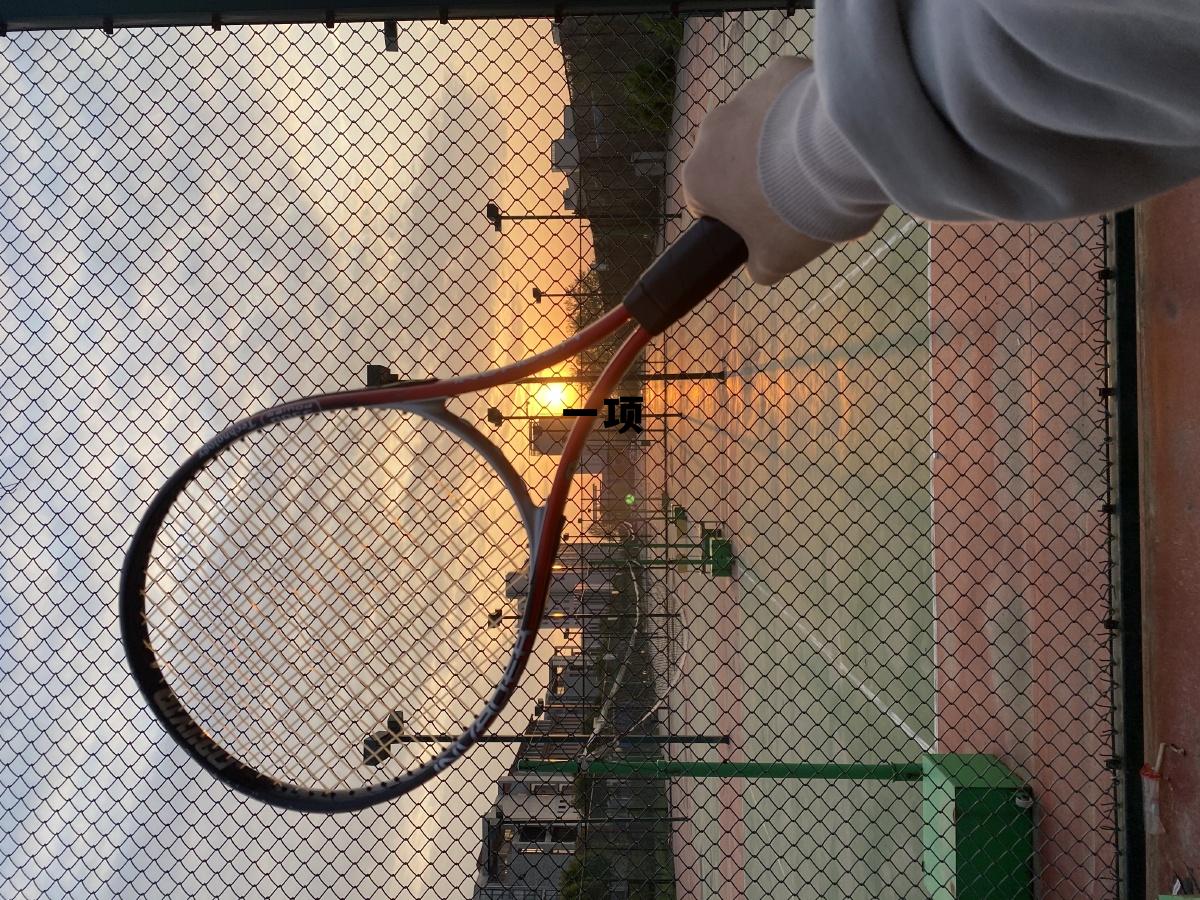 一项(肝功一项是查什么)